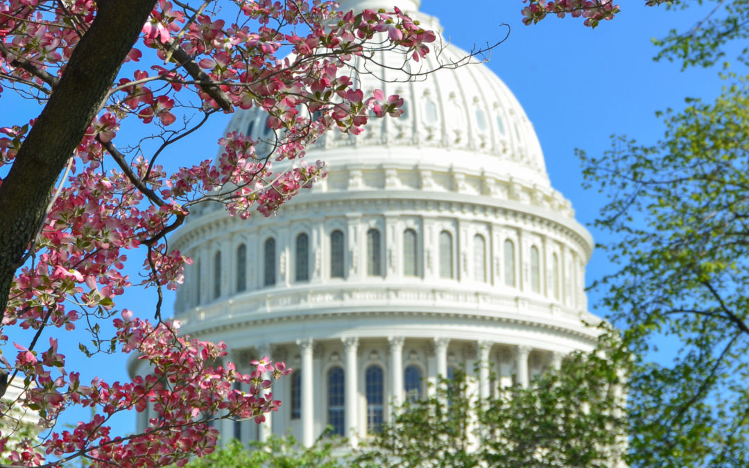 Will SECURE 2.0 Close the Coverage Gap?