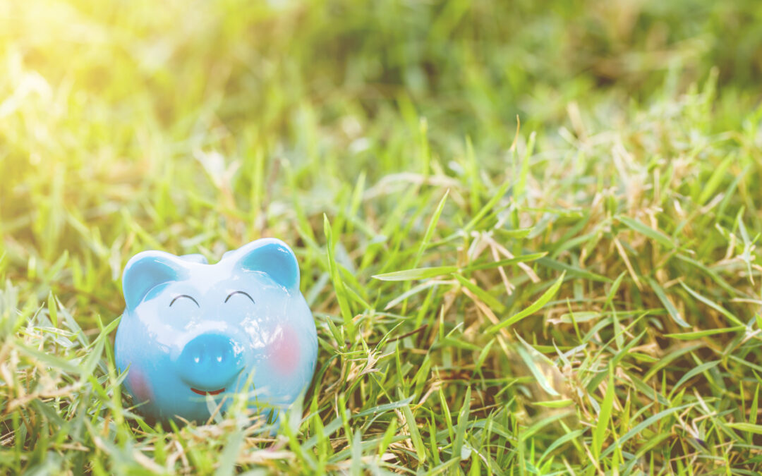 Financial Wellness Utilization Is Up, but Impact Unclear